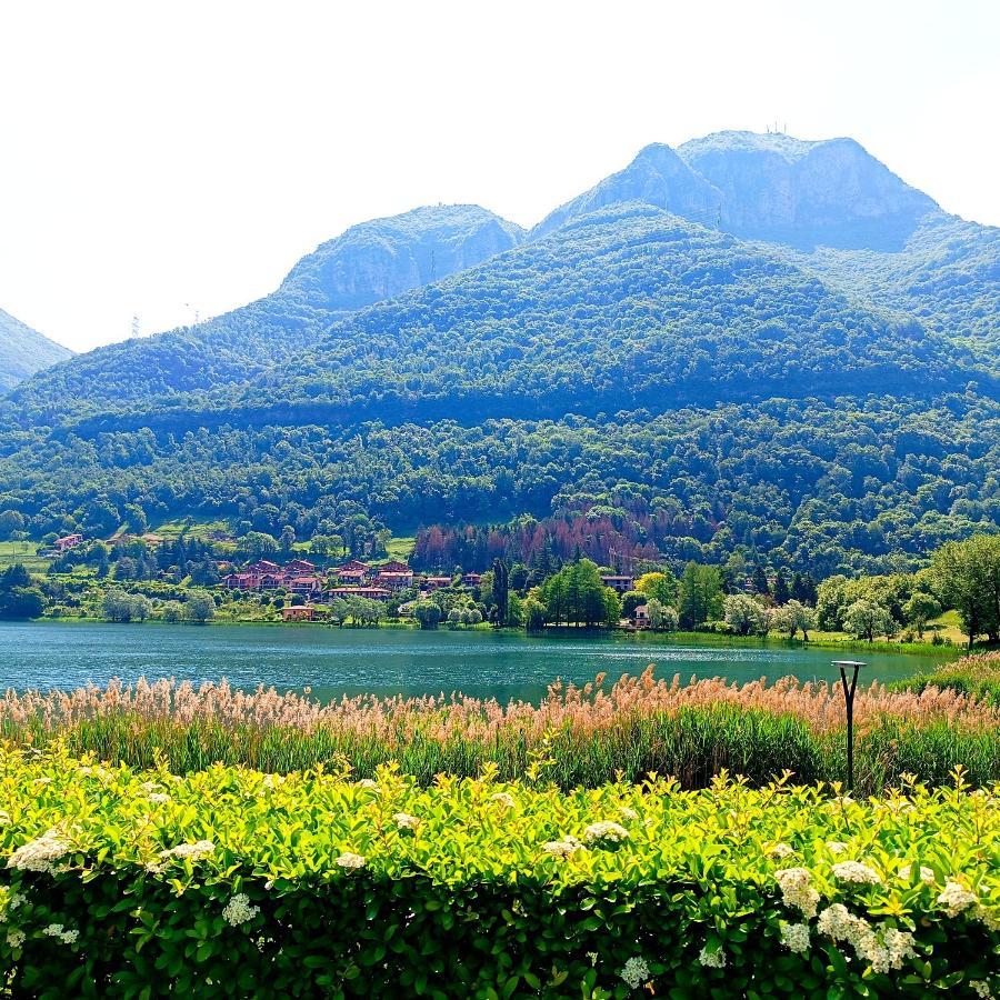 Casa Vacanze Alessandro Spinone Al Lago Экстерьер фото